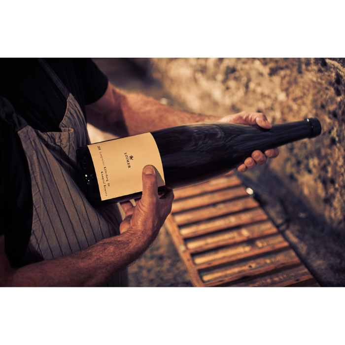 2017 Bio Grüner Veltliner Käferberg Magnum, Kamptal, Österreich