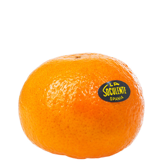 Soculente Clementine