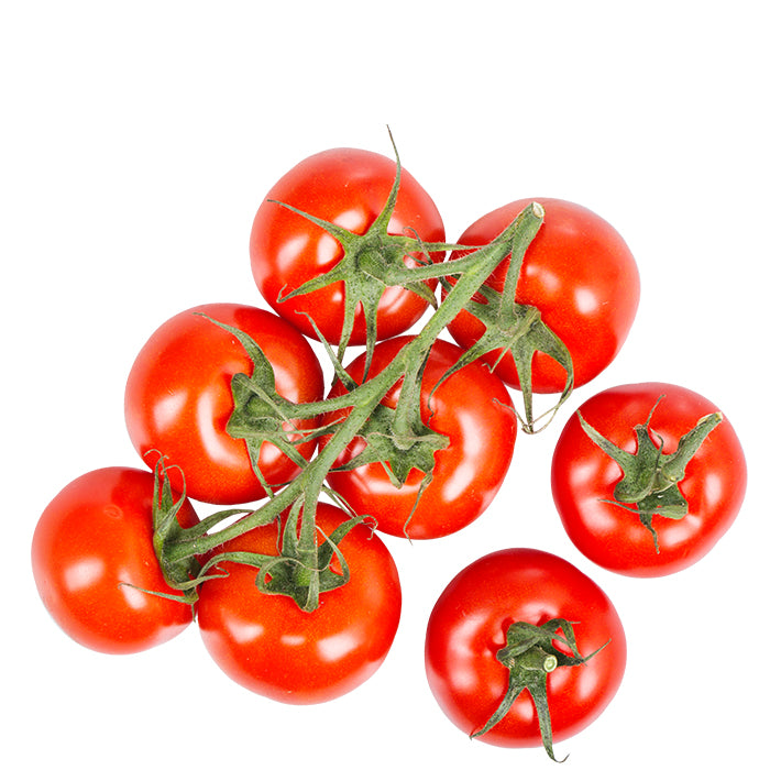 Strauchtomate Joyn