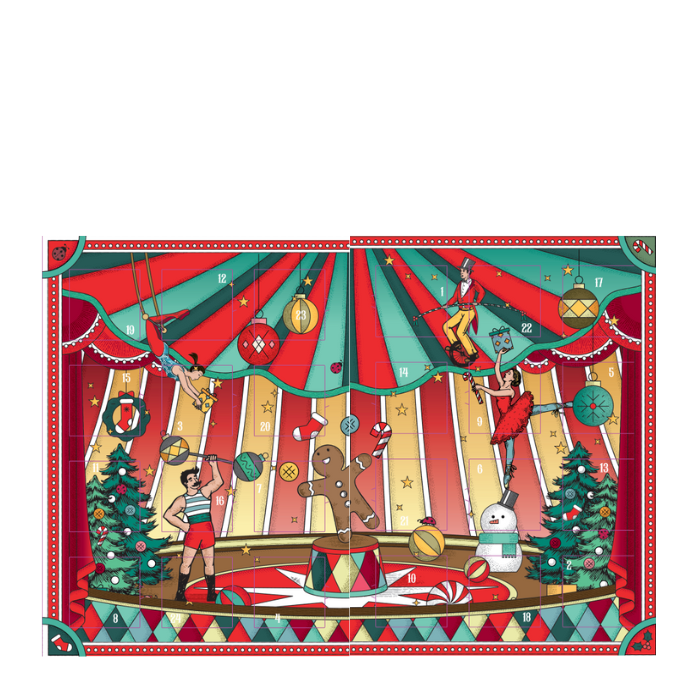 Käfer Buch Adventskalender