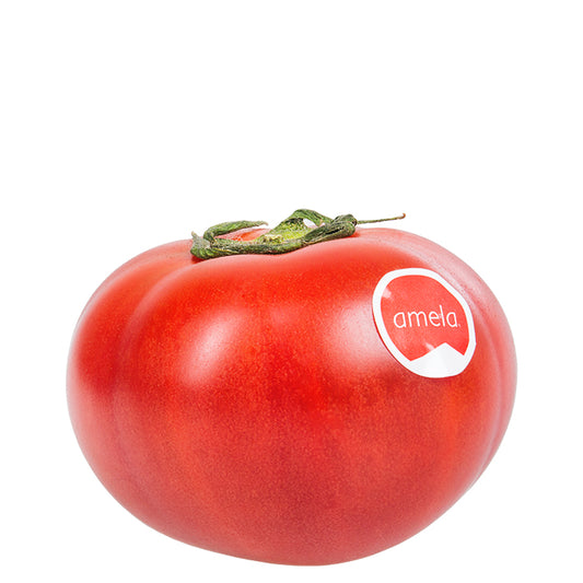 Tomate Amela