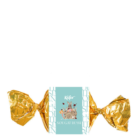Käfer Nougat Bussi