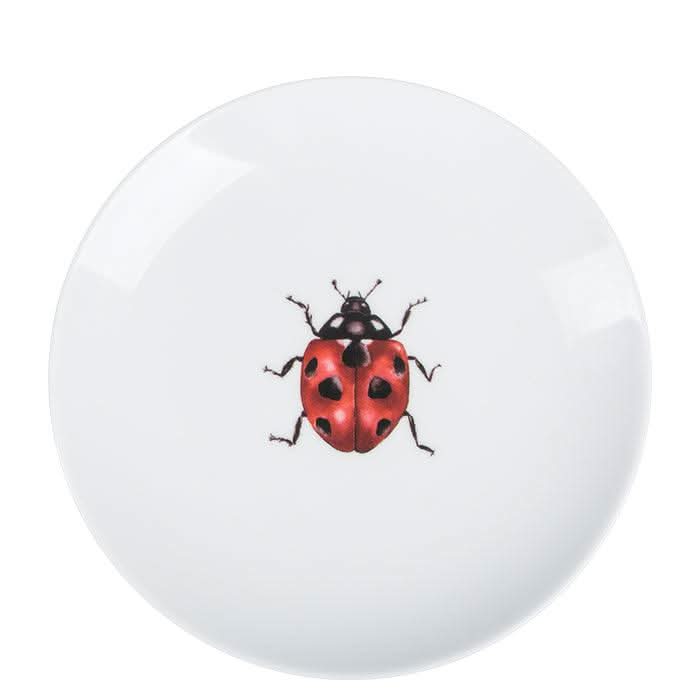 Teller Ladybug, Ø 16 cm
