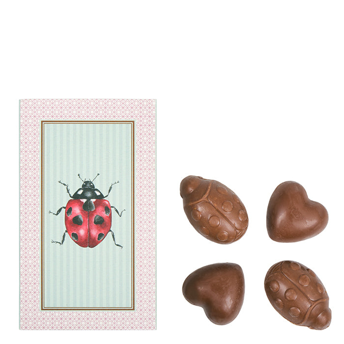 Schoko Käferchen & Herzen