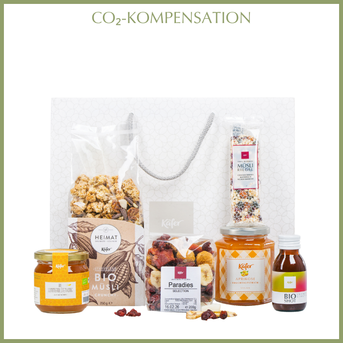 Käfer Morgenglück