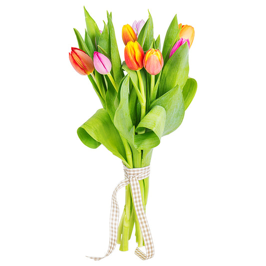 Bunter Tulpenstrauß, 10 Stück