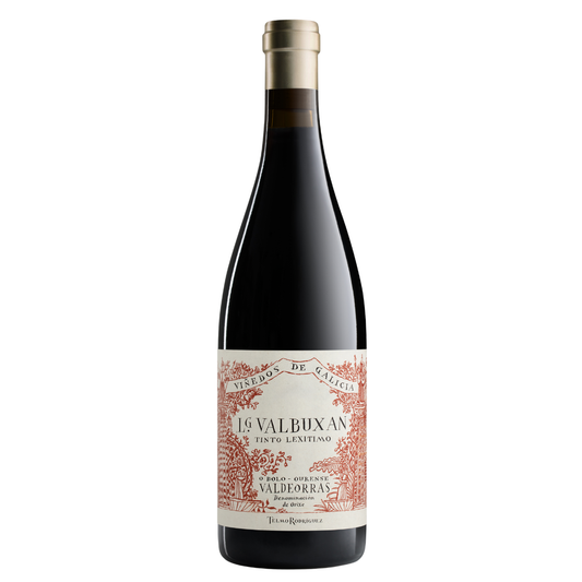 2022 LG Valbuxan Tinto Lexitimo, Valdeorras, Galizien, Spanien