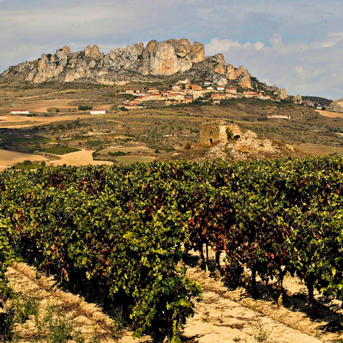 Tarón Tempranillo, Rioja, Spanien