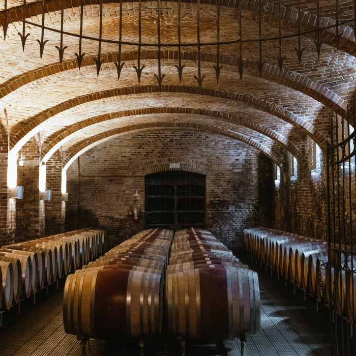 2021 Bio Barbera d'Alba Piana, Piemont, Italien