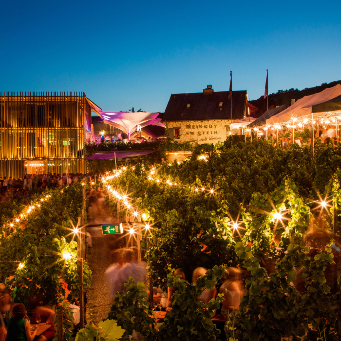 16.04.26 | Spargel trifft Spitzenweine: Ein Genuss-Abend mit Weingut am Stein