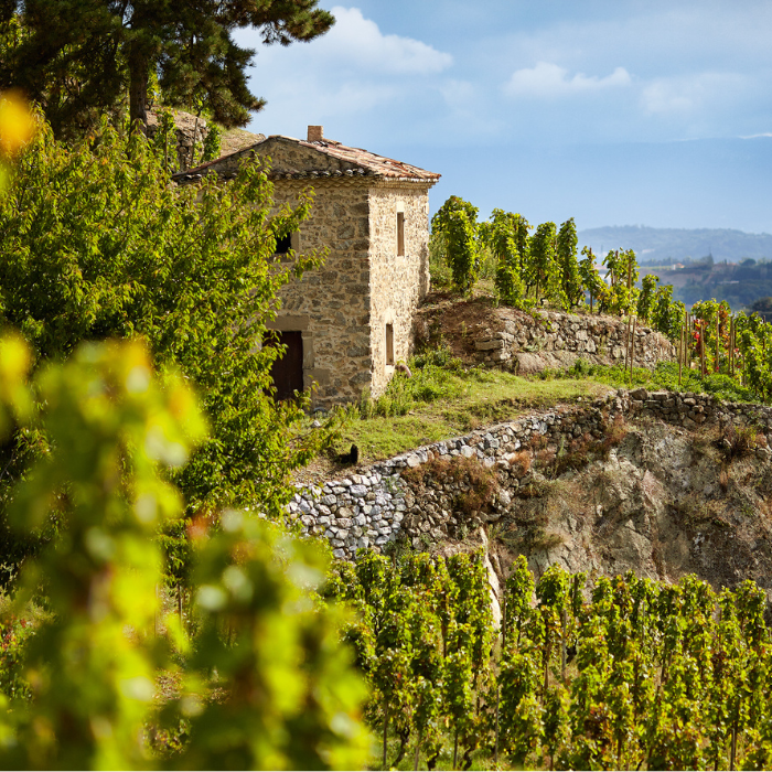 2021 Crozes-Hermitage Les Launes, Rhône, Frankreich