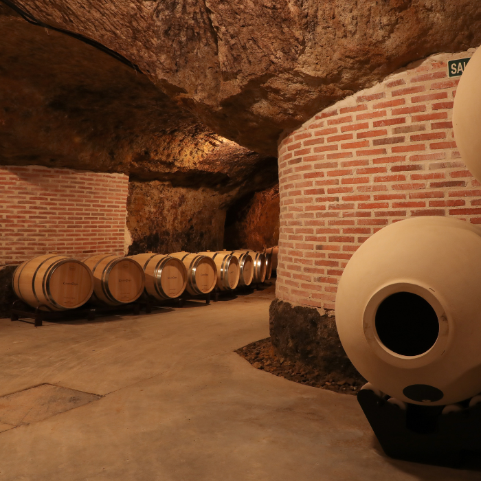 Bio Käfer BBQ Tempranillo, Kastilien, Spanien