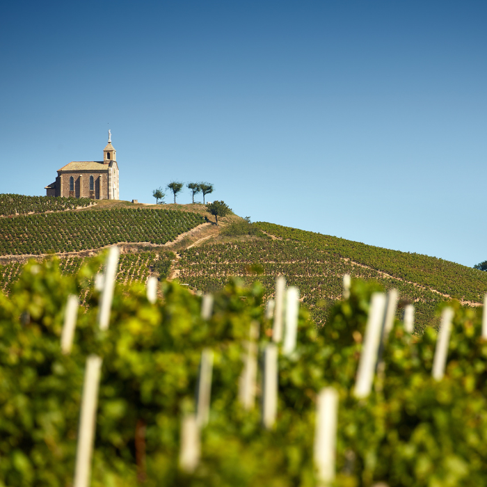 2020 Meursault, Burgund, Frankreich