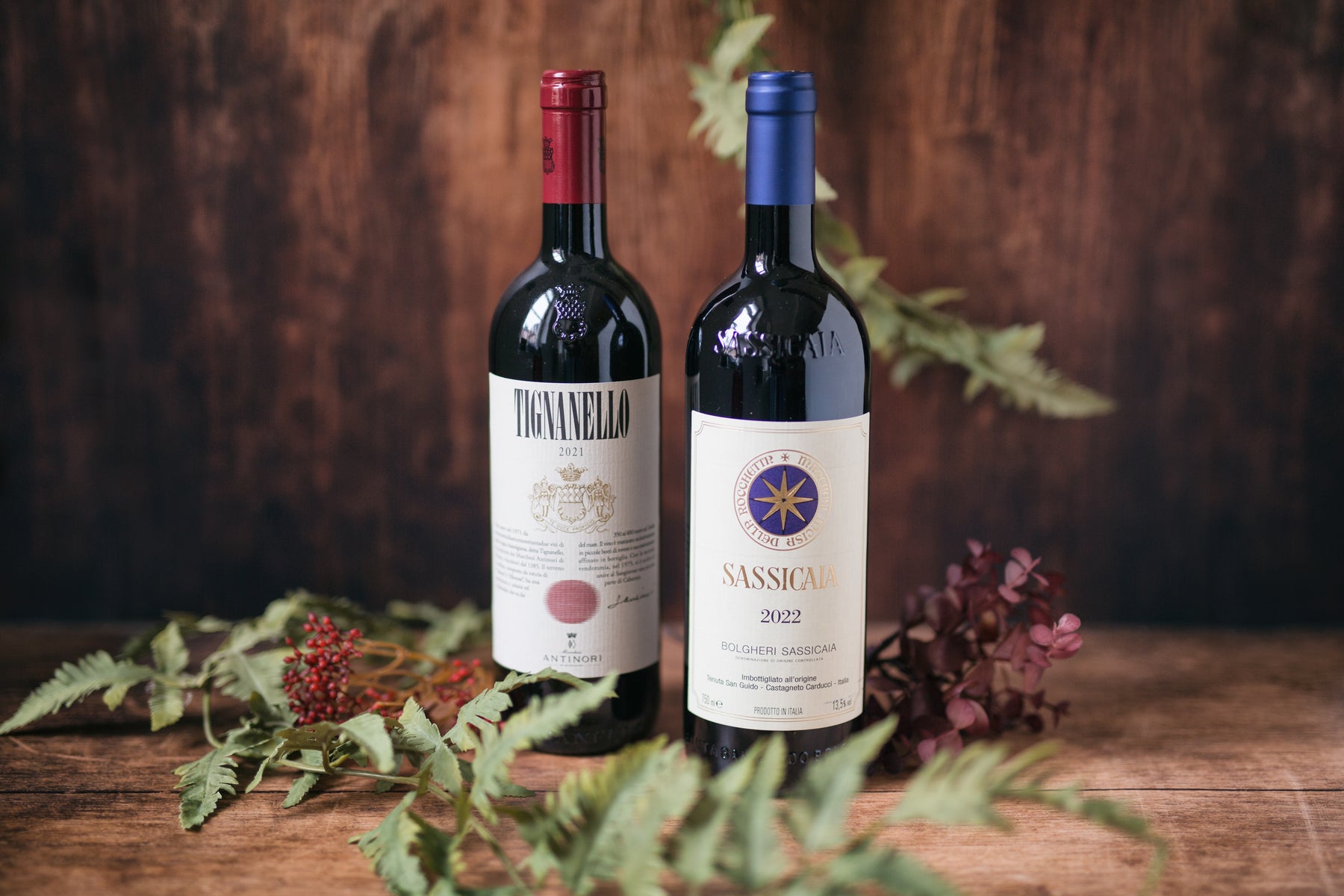 Kaefer_Stammhaus_Sassicaia_Tignanello_09102025_quer.jpg__PID:019f53c7-6847-4008-a618-0d4cbed861d0