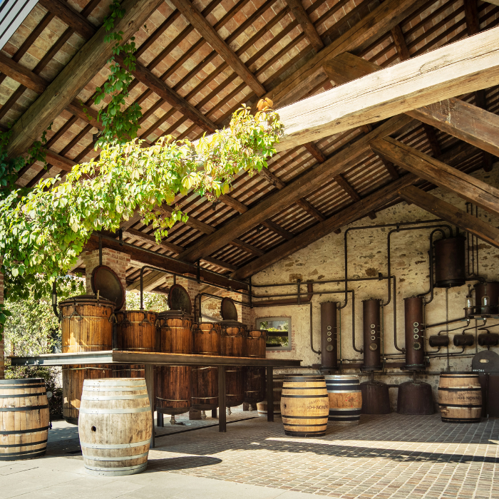 Grappa Moscato