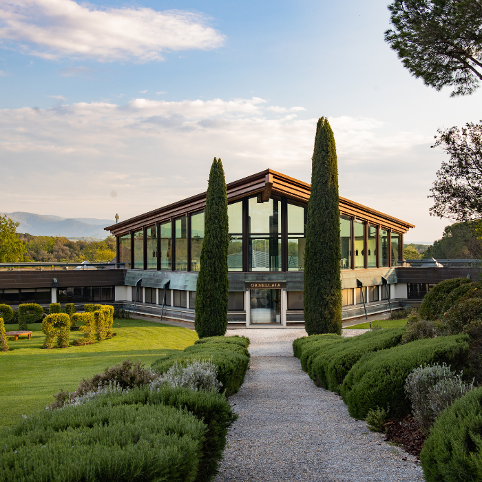 Ornellaia Eligo Riserva Grappa