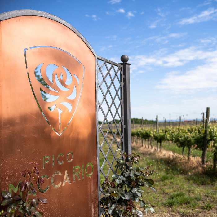 Lavignone Bunte Holzkiste, Piemont, Italien