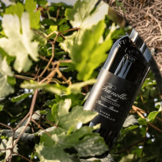 07.11.24 I Käfer Best - Trüffelabend -