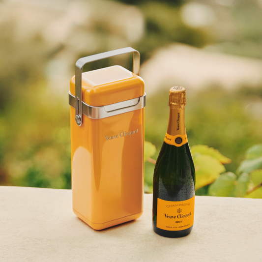 Brut Fridge, Champagne, Frankreich