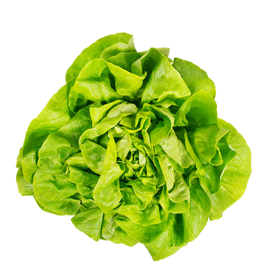 Kopfsalat