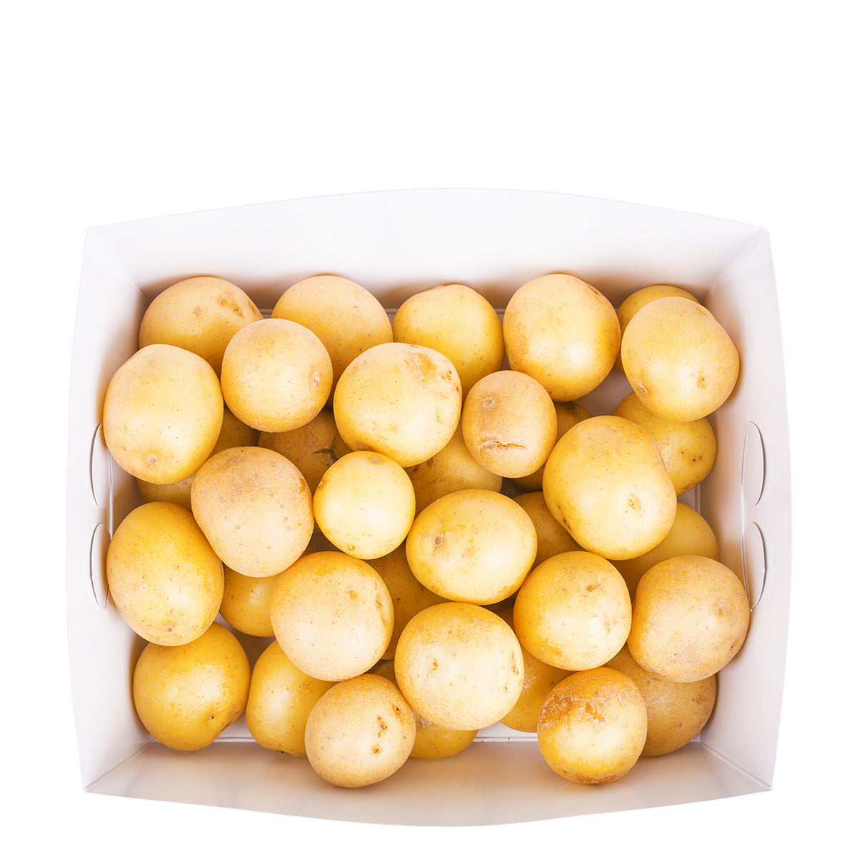 la ratte kartoffeln saatgut La Ratte Kartoffeln von Feinkost Käfer online kaufen