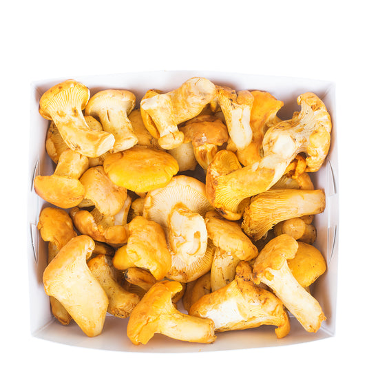 Pfifferlinge