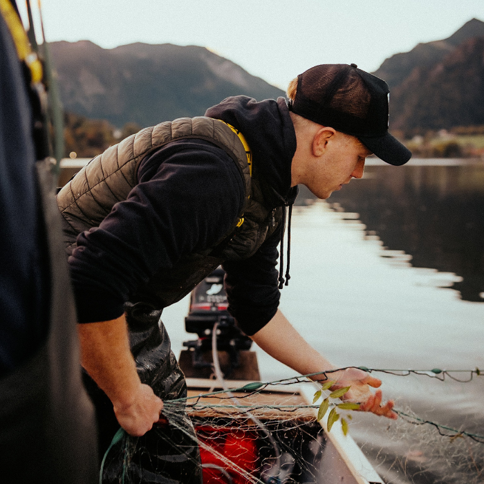 Forellenfilet geräuchert