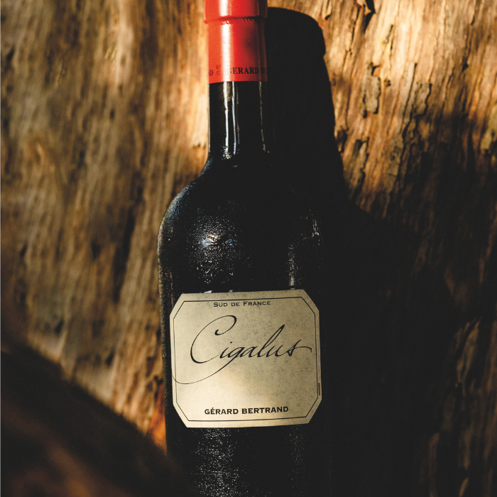 Cigalus Rouge von Gérard Bertrand aus dem Languedoc