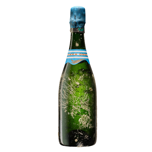 M. Hostomme 2009 Blanc de Blancs Vikka, Champagne, Frankreich