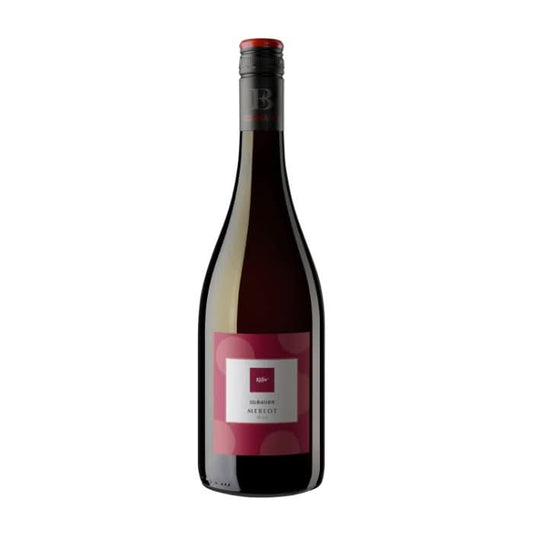 Käfer Merlot, Pfalz, Deutschland -