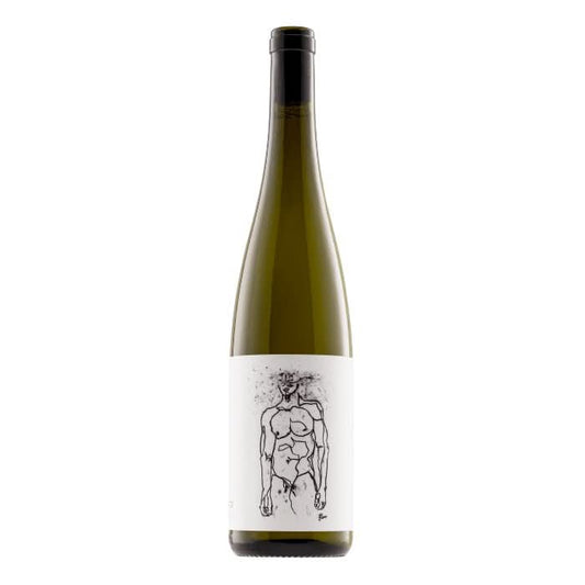 Bio Grüner Veltliner Hofstudien, Kremstal, Österreich -