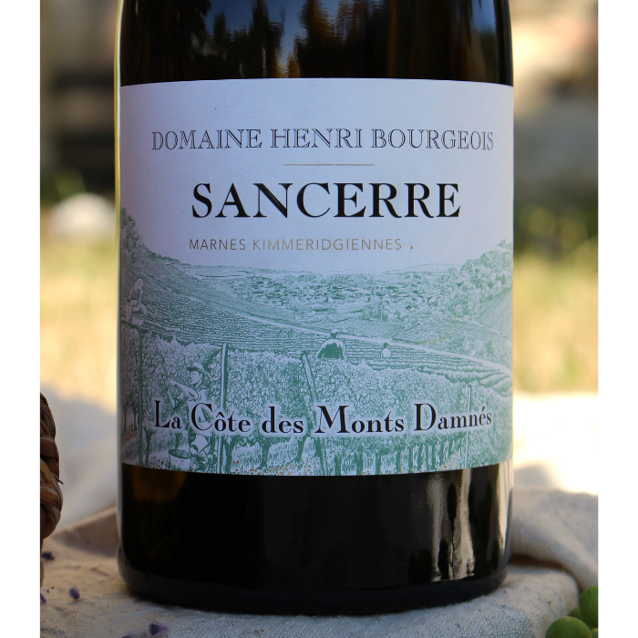2023 Bio Sancerre Côte des Monts Damnés, Loire, Frankreich