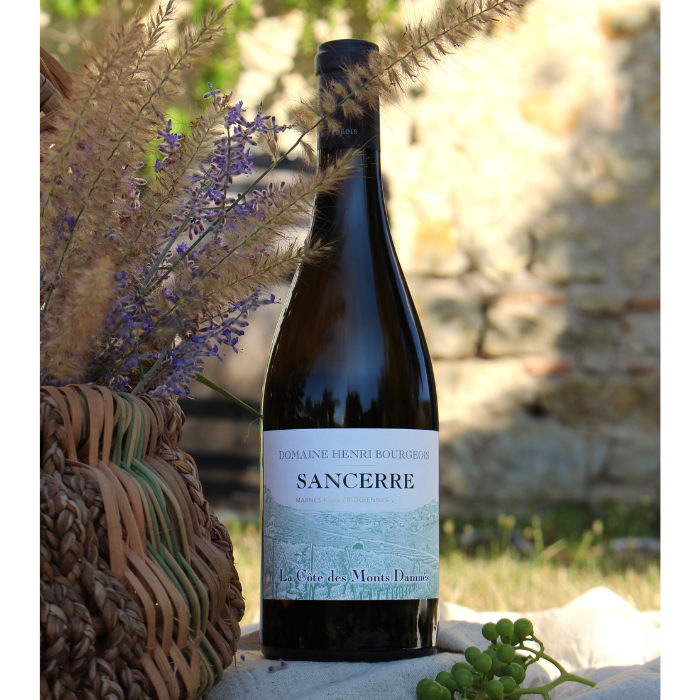 2023 Bio Sancerre Côte des Monts Damnés, Loire, Frankreich