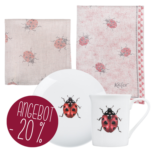 Ladybug Set