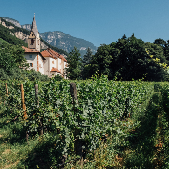05.08.2026 | Beetle Chef's Table Summer Wine and Dine mit Alois Lageder