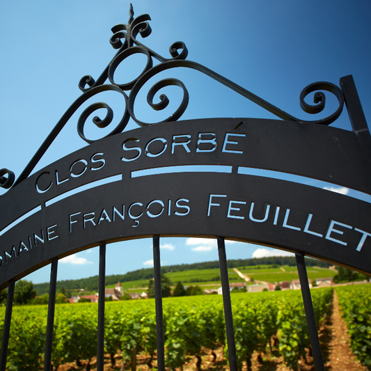 2019 Nuits-Saint-Georges La Charmotte, Burgund, Frankreich