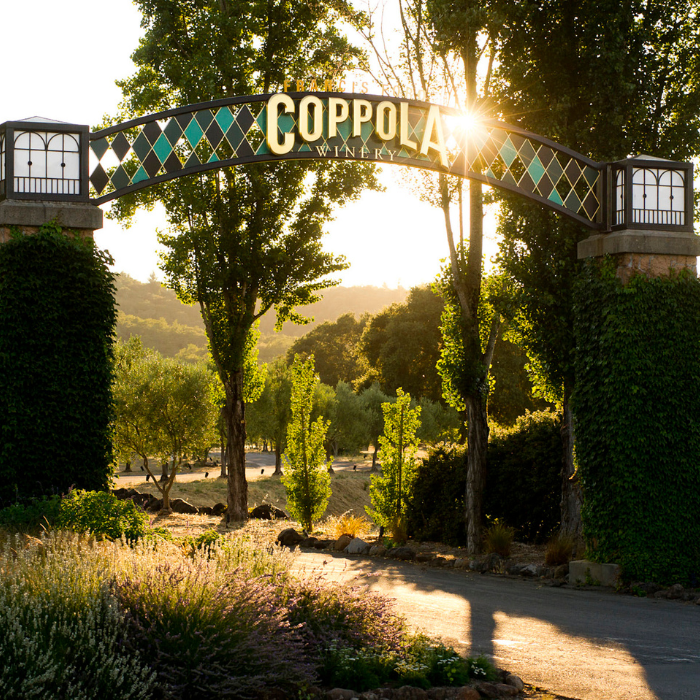 15.01.2026 | Cheers to the Classics: Ein Genuss-Abend mit Francis Ford Coppola Wines