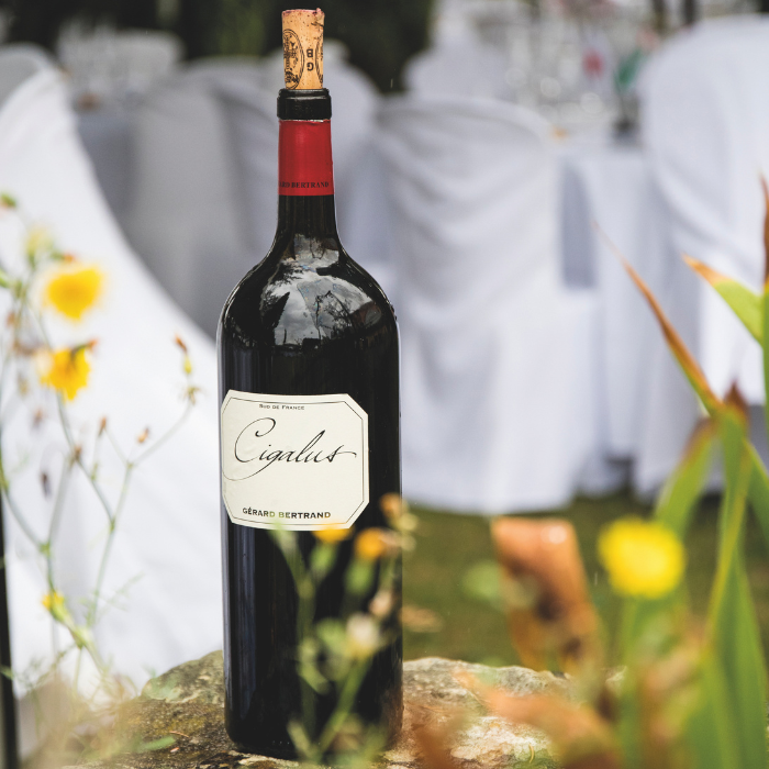 21.05.26 | Bistro Klassiker aus Frankreich: Ein Genuss-Abend mit Gérard Bertrand