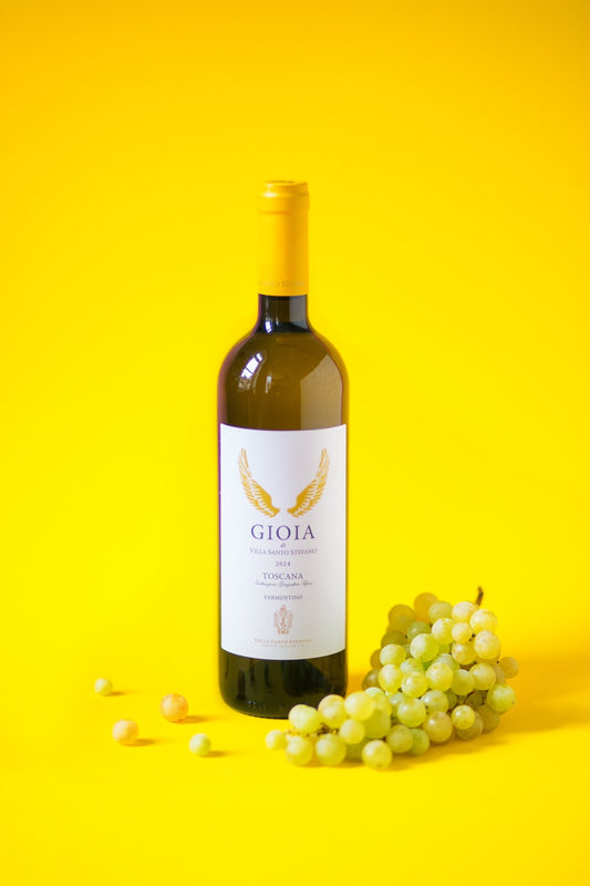 Bio Vermentino Gioia, Toskana, Italien