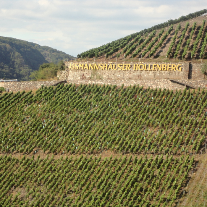 10.02.26 | Beetle Chef’s Table: Feines vom Kalb mit Weingut Krone Assmanshausen