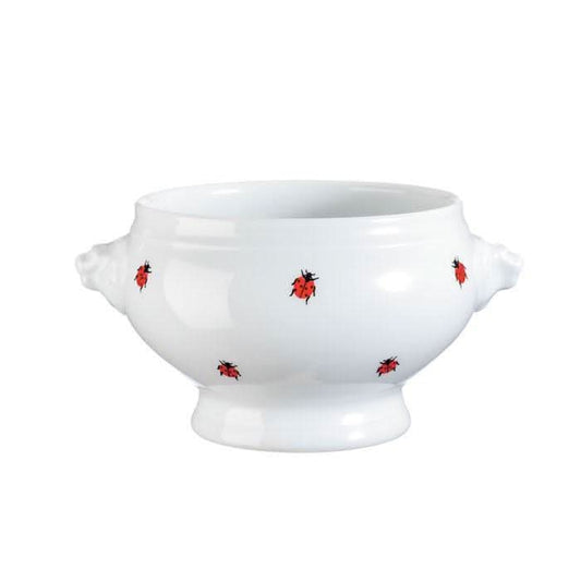 Löwenkopfterrine klein