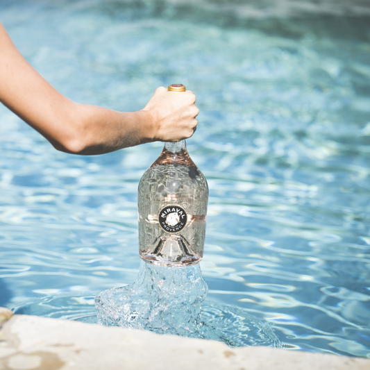 22.05.25 I Eine Genussreise an die Côte d’Azur mit Château de Miraval