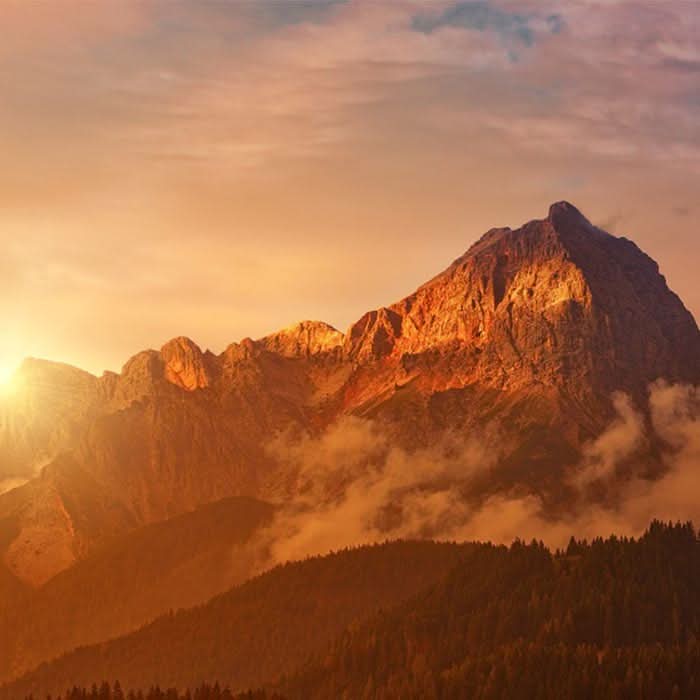 11.03.26 | Beetle Chef's Table Alpen-Crossover mit Weingut Heinrich